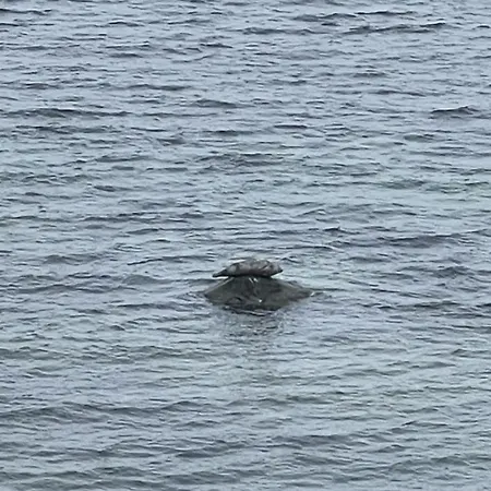 Appartement Meeresperle 1