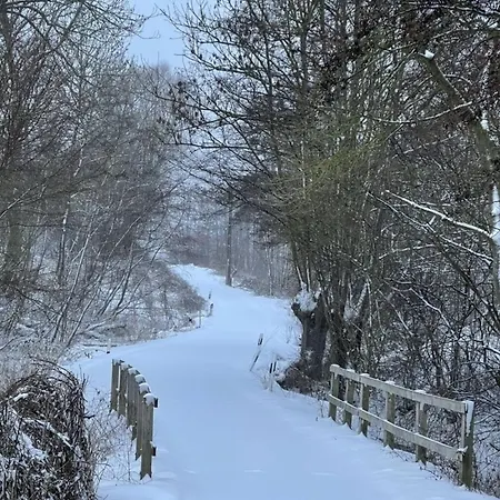 Meeresperle 1 Appartement *